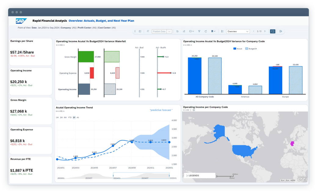 SAP Analytics Cloud, Dashboard